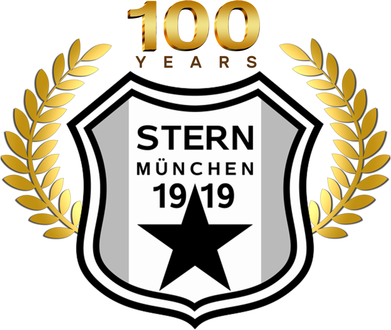 Fc Stern Munchen 1919 Ev Fussball